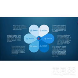 探索电商软件新蓝海 技术转让赋能代理加盟与精细化运营